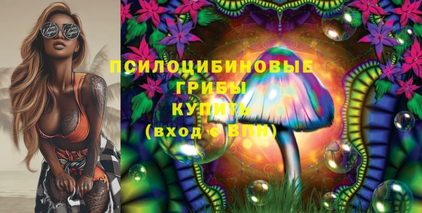 мескалин Бородино