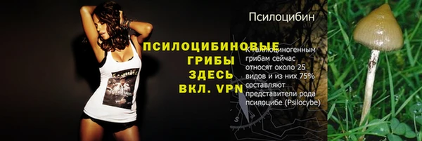 a pvp Бронницы