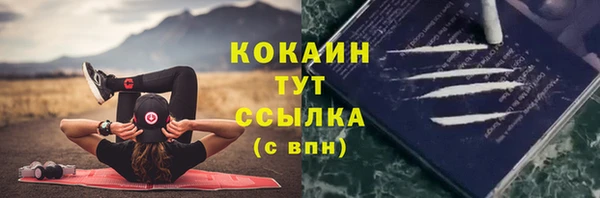 мескалин Бородино