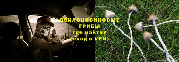 мескалин Бородино