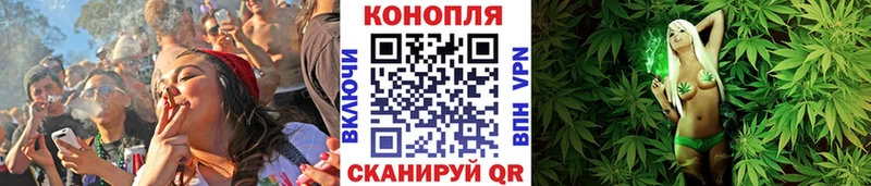 Конопля марихуана купить цена Севастополь